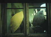 Kaben - Ecologica95 - Fortezza da Basso - Florence